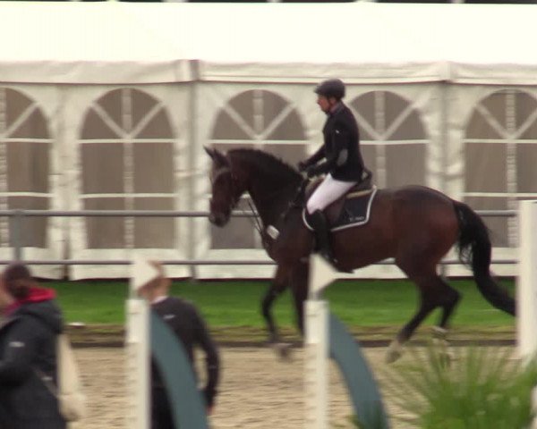 Reitturnier Langenfeld - Gut Langfort 2023