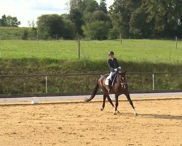 Reitturnier Altentrüdingen/Mfr. 2023