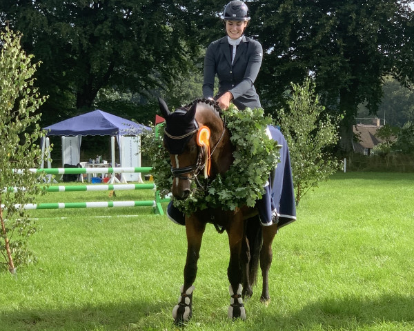 jumper Queen To Be (Holsteiner, 2018, from Quiwi Air)