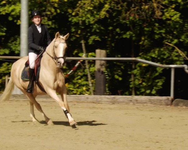 Reitturnier Leingarten 2023
