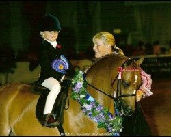 Pferd Okewood Delightful (British Riding Pony, 1998, von Lechlade Quince)