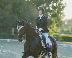 horse Baccarole (Hanoverian, 2009, from Harmony's Baroncelli)