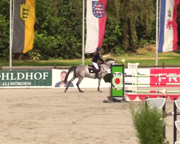 Reitturnier Westergellersen 2023