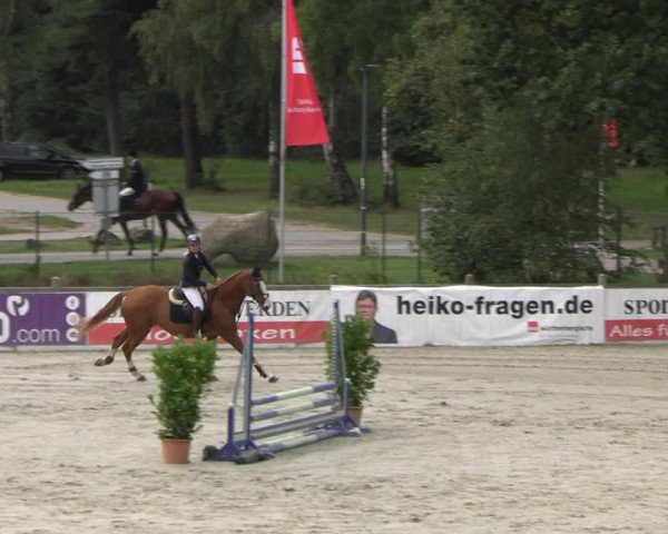 Reitturnier Westergellersen 2023