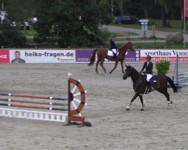Reitturnier Westergellersen 2023