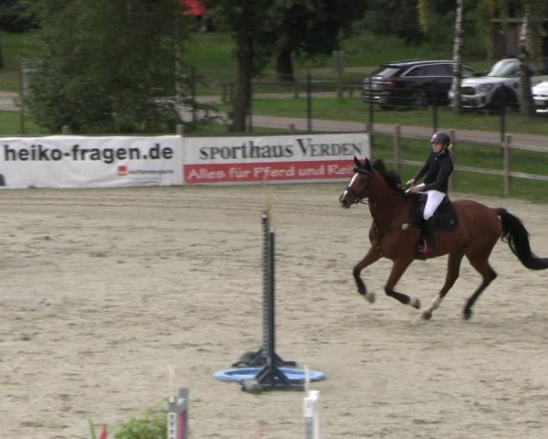 Reitturnier Westergellersen 2023
