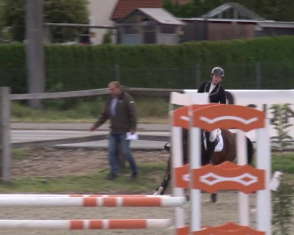 Reitturnier Poxdorf/Ofr 2023