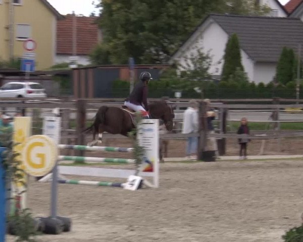 Reitturnier Poxdorf/Ofr 2023