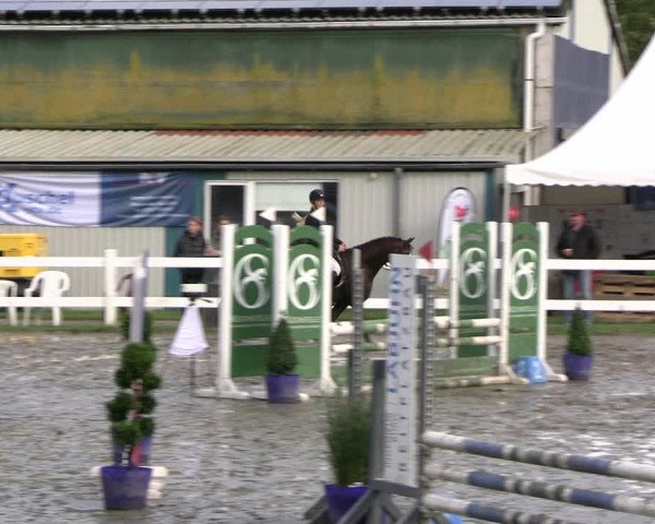 Reitturnier Mildstedt - JTN 2023