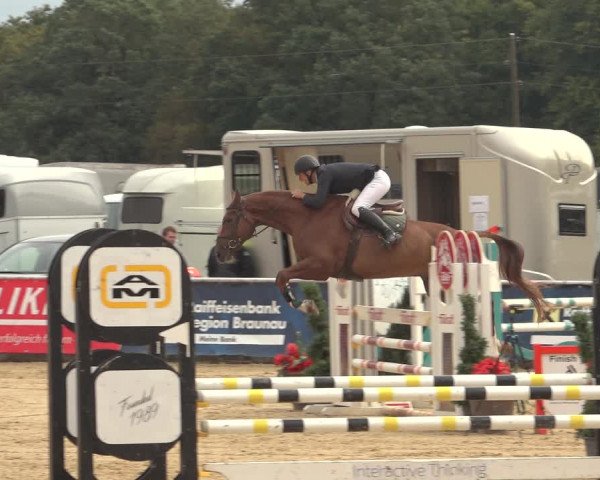 Reitturnier Ranshofen - Braunau am Inn 2023