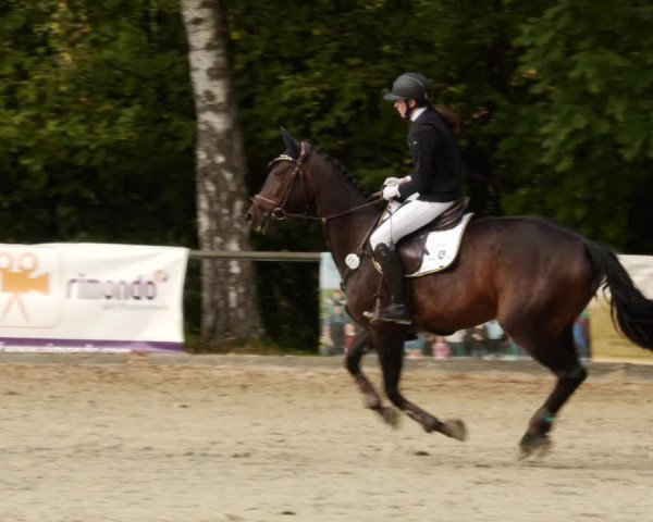 Reitturnier Leingarten 2023