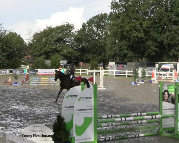 Reitturnier Mildstedt - JTN 2023