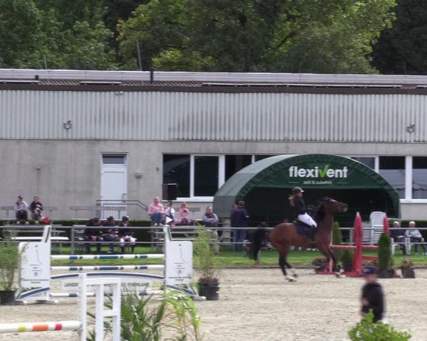 Reitturnier Langenfeld - Gut Langfort 2023