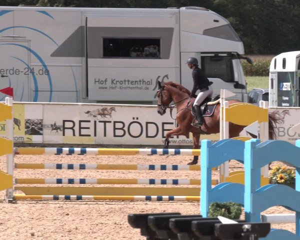 Reitturnier Ranshofen - Braunau am Inn 2023