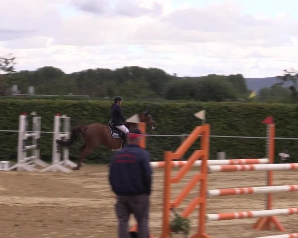 Reitturnier Birkungen 2023