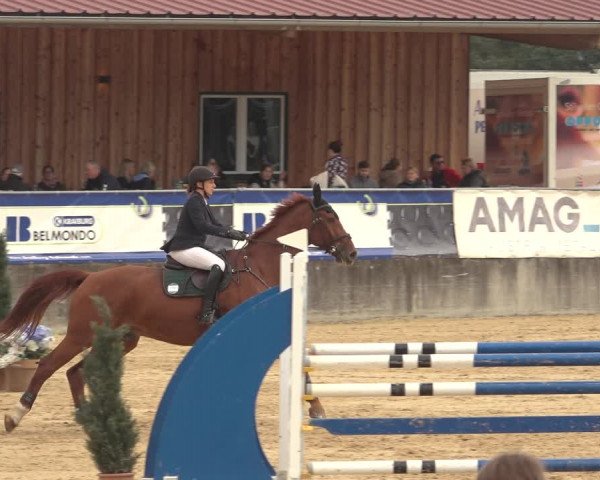 Reitturnier Ranshofen - Braunau am Inn 2023