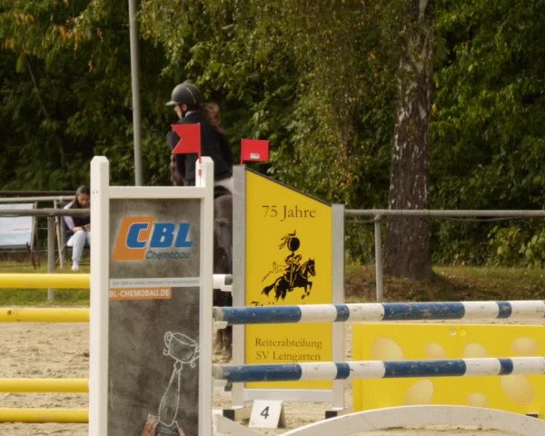 Reitturnier Leingarten 2023