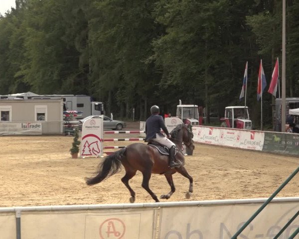 Reitturnier Ranshofen - Braunau am Inn 2023