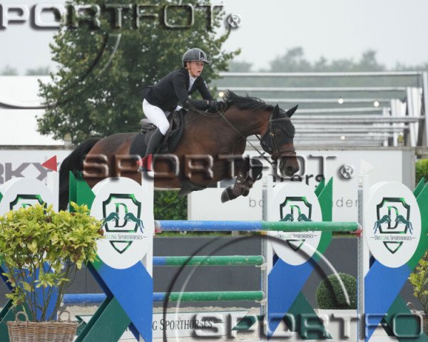 Springpferd Grc Sambezi (Irish Sport Horse, 2013, von Chacco-Blue)