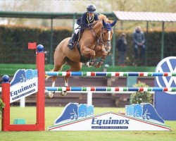 broodmare Donner Ik (Oldenburg show jumper, 2009, from Deauville van T&L)