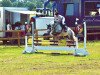 horse Just Me (New Forest Pony, 2012, from Orchid's Tygo)