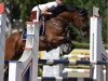 jumper Caring Justice (Swedish Riding Pony, 2008, from Careful 28)