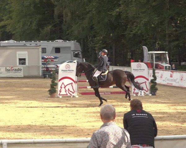 Reitturnier Ranshofen - Braunau am Inn 2023