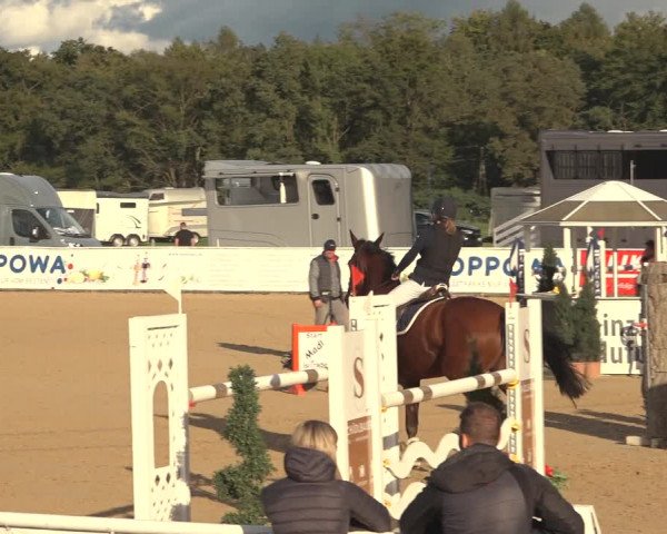 Reitturnier Ranshofen - Braunau am Inn 2023