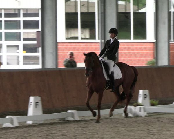 Reitturnier Langenfeld - Gut Langfort 2023