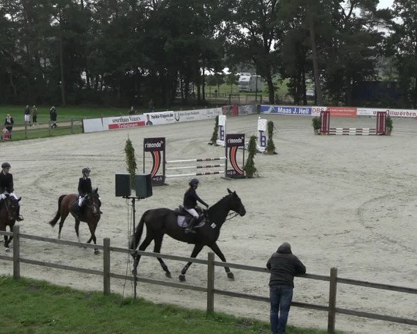 Reitturnier Westergellersen 2023