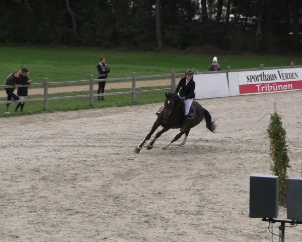Reitturnier Westergellersen 2023