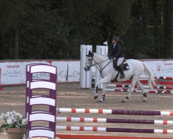 Reitturnier Ranshofen - Braunau am Inn 2023