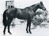 stallion Fujiyama xx (Thoroughbred, 1960, from Krakatao xx)