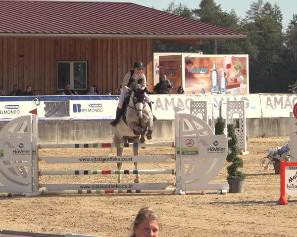 Reitturnier Ranshofen - Braunau am Inn 2023