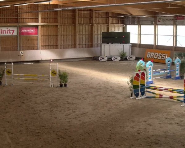 Reitturnier Winterthur 2023