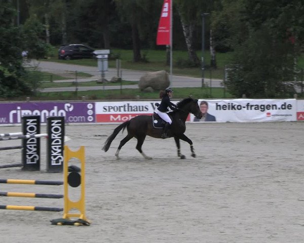 Reitturnier Westergellersen 2023