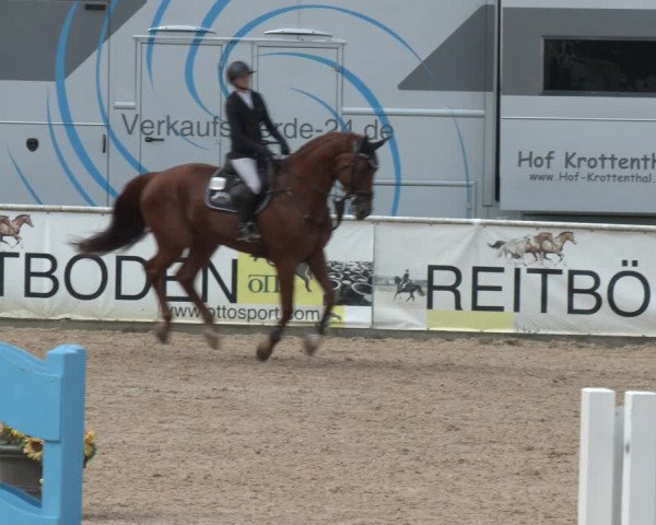 Reitturnier Ranshofen - Braunau am Inn 2023