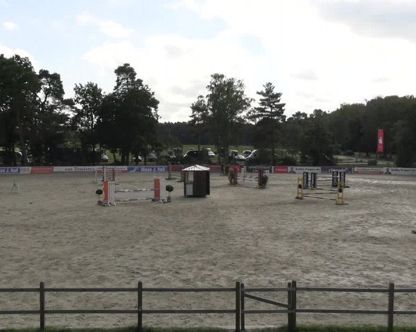 Reitturnier Westergellersen 2023