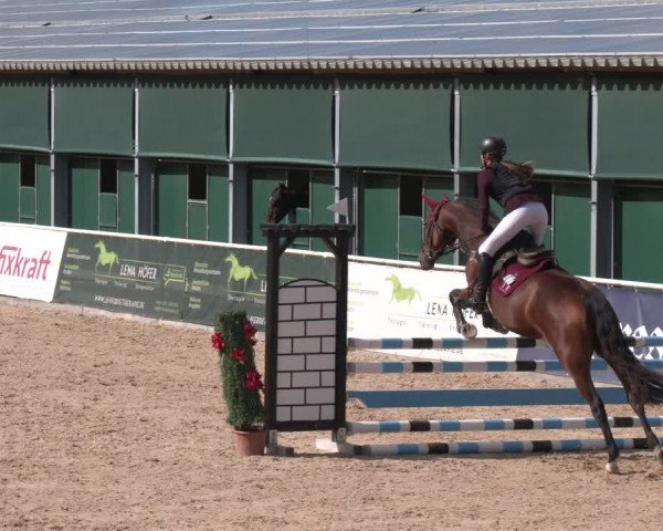 Reitturnier Ranshofen - Braunau am Inn 2023