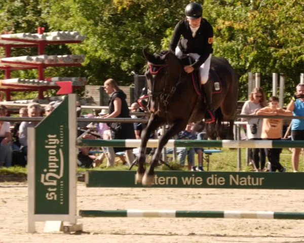 Reitturnier Leingarten 2023