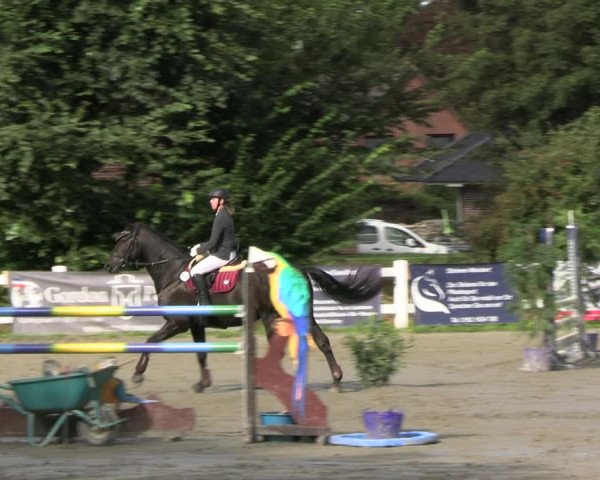 Reitturnier Mildstedt - JTN 2023