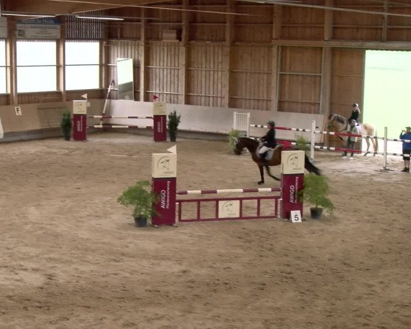 Reitturnier Winterthur 2023