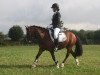 dressage horse Silvermonds Gino Filou (unknown, 2015)