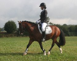 dressage horse Silvermonds Gino Filou (unknown, 2015)