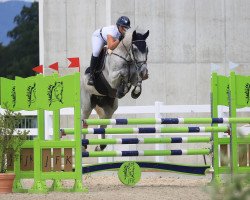 jumper Oracio D'La Foule CH (Swiss Warmblood, 2012, from Ouessant de Perhet)