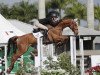 jumper Calimero vd Leuba (Oldenburg show jumper, 2011, from Clarimo Ask)