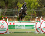 broodmare Calvira (Oldenburg show jumper, 2008, from Calvaro Z)