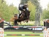 jumper Diathago (Oldenburg show jumper, 2009, from Diarado)