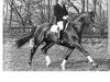 stallion Grundstein I (Hanoverian, 1975, from Graphit)