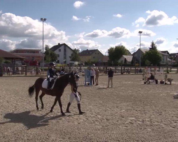 Reitturnier Poxdorf/Ofr 2023